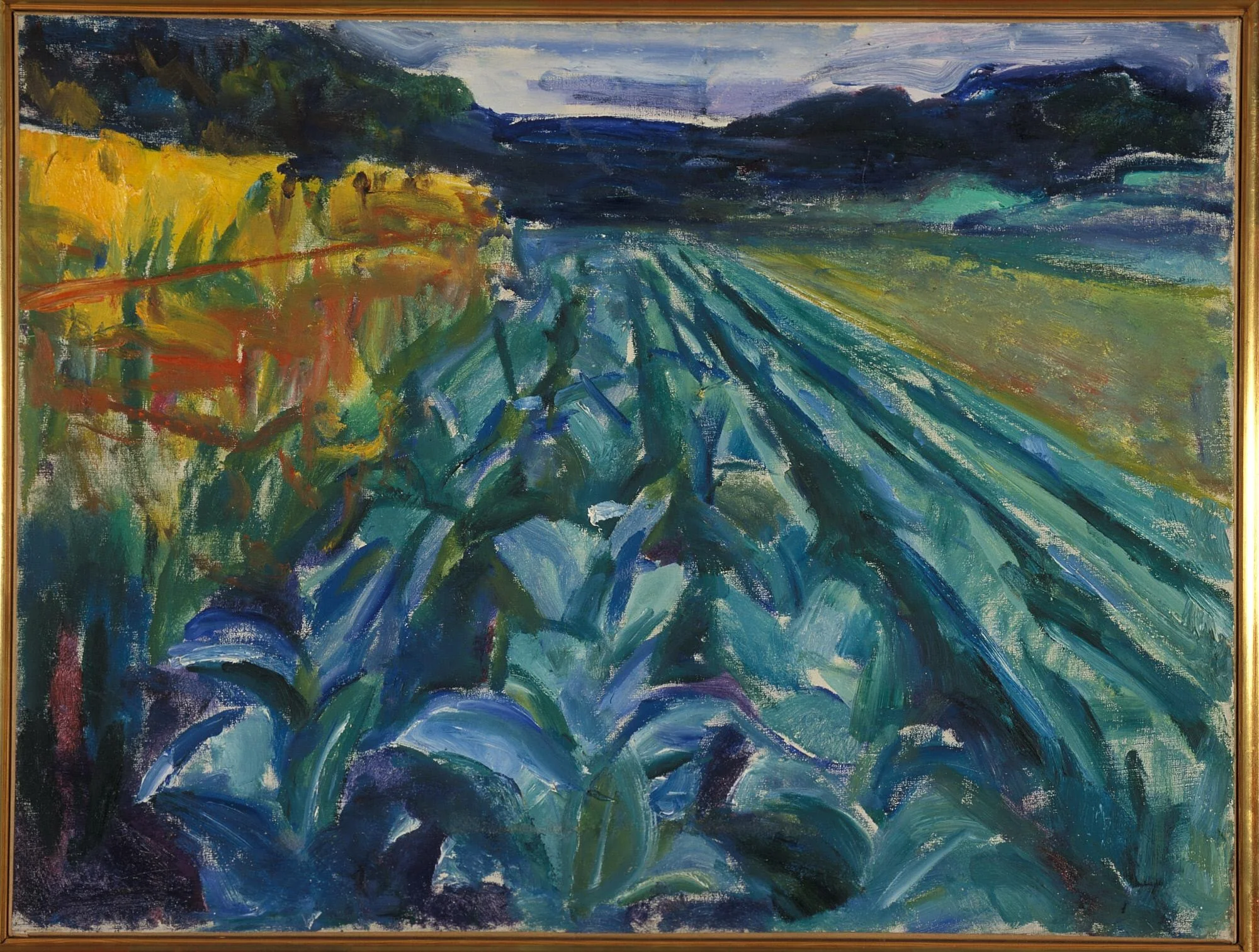 Cabbage Field, detail