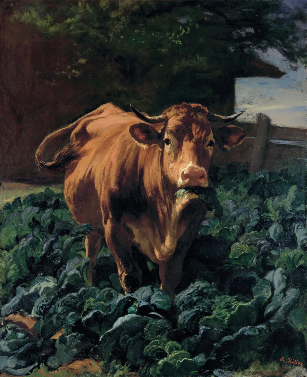 Cow in a Cabbage Field, by Rudolf Koller, oil, 1857