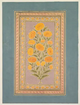 Flowering Marigold (verso), by Hunhar II, unspecified, 1765