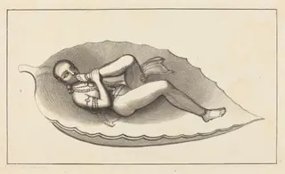 Vishnu, Creating Agent of Brahma, Attitude, the Emblem of Eternity, by Maria Denman, ink, 1829