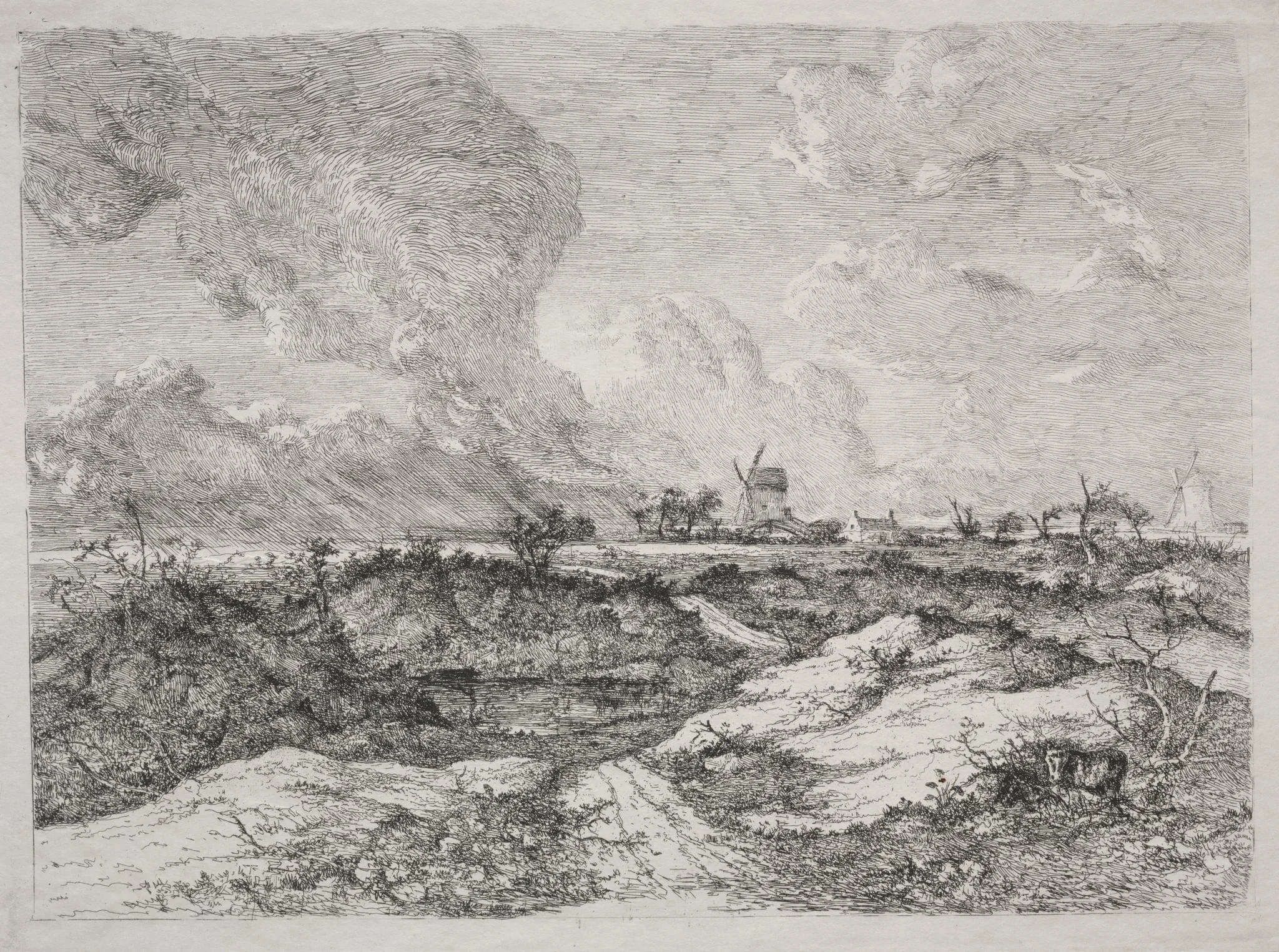 Mousehold Heath, detail