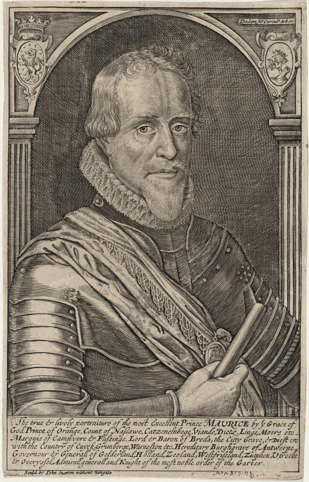 Maurice, Prince of Orange, detail