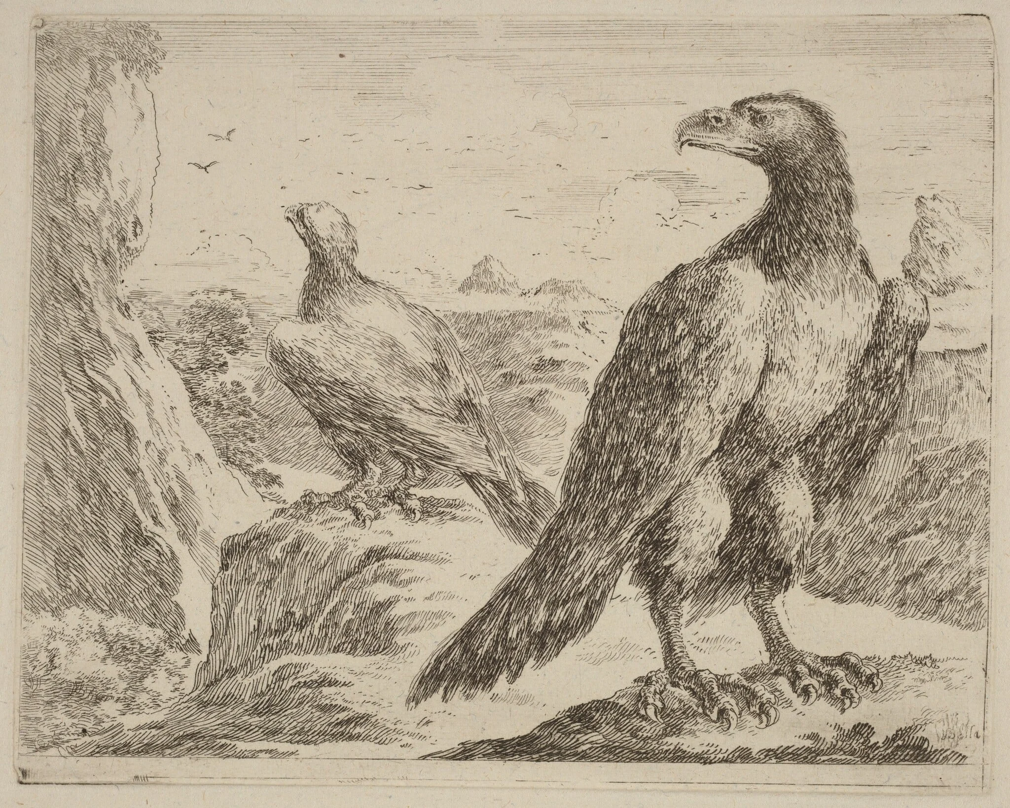 Two Eagles, Both with Heads Turned to the Left, detail