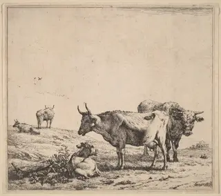 Cow, Bull and Calf, by Karel Dujardin, ink, 1650