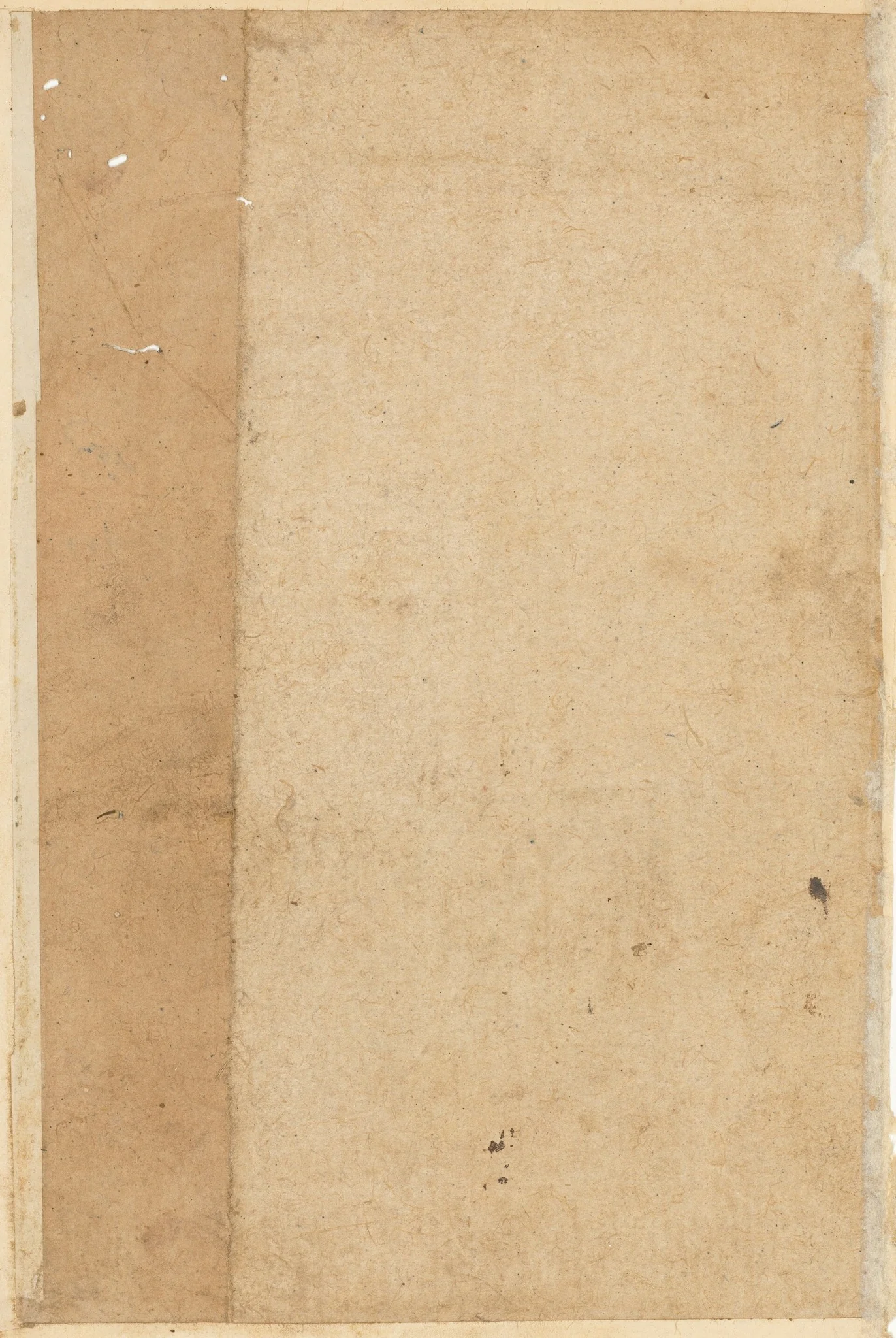 Page from Tales of a Parrot (Tuti-nama): blank page, detail