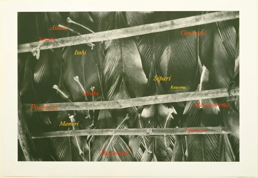 Untitled, detail
