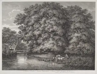 The Mill at the Great Oaks, by Johann Christian Reinhart, ink, 1788
