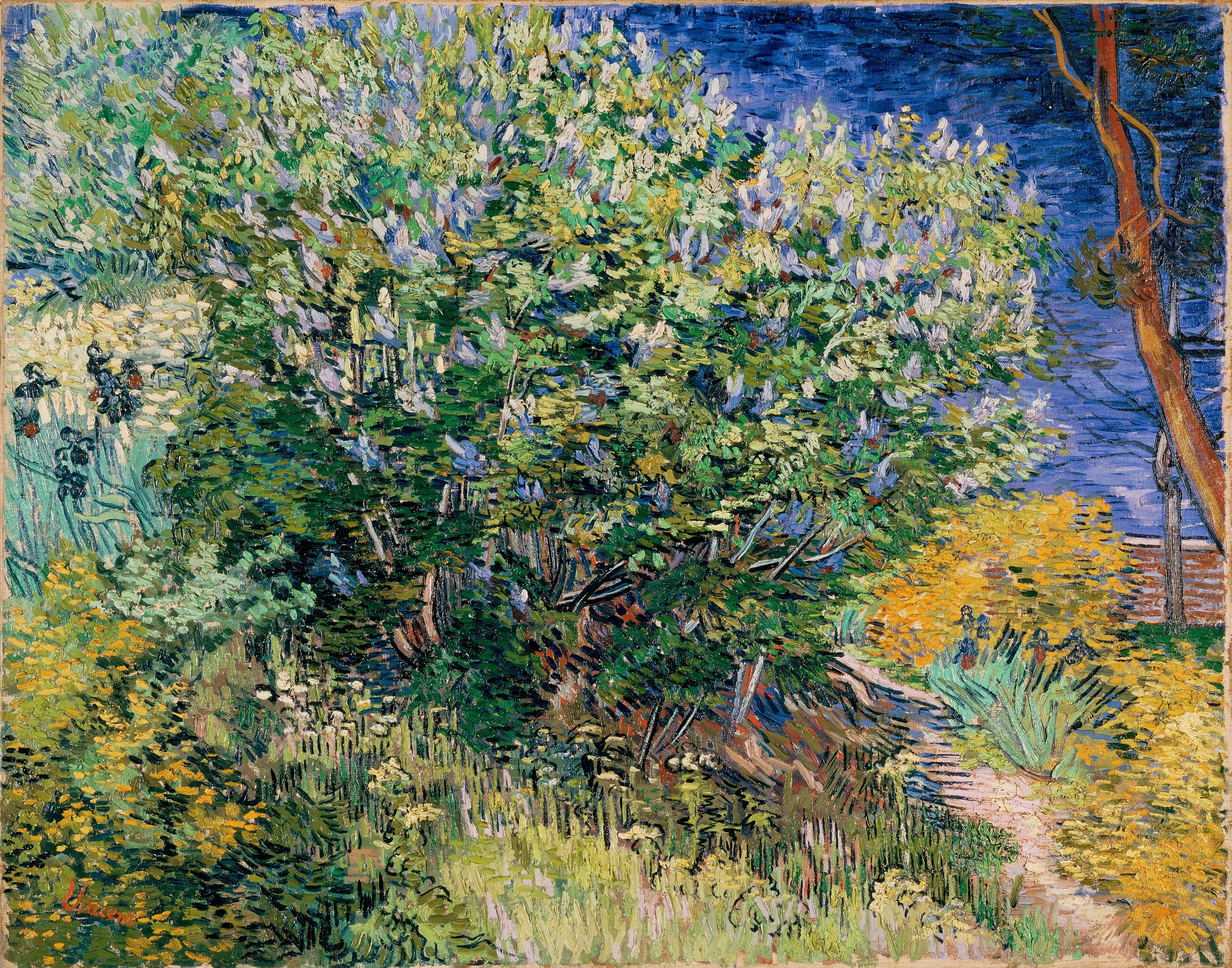Lilac Bush, detail