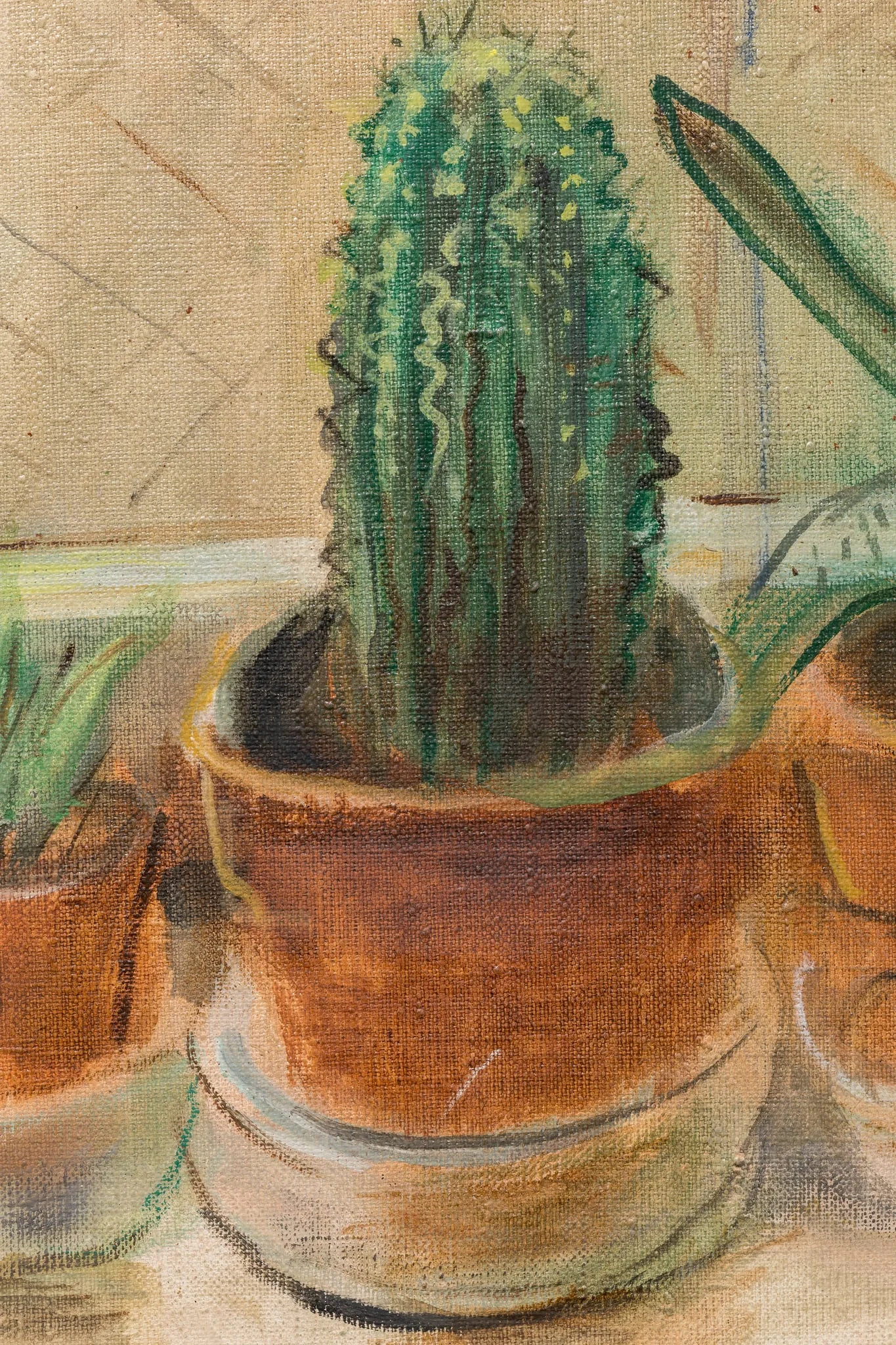 CACTUȘI, detail