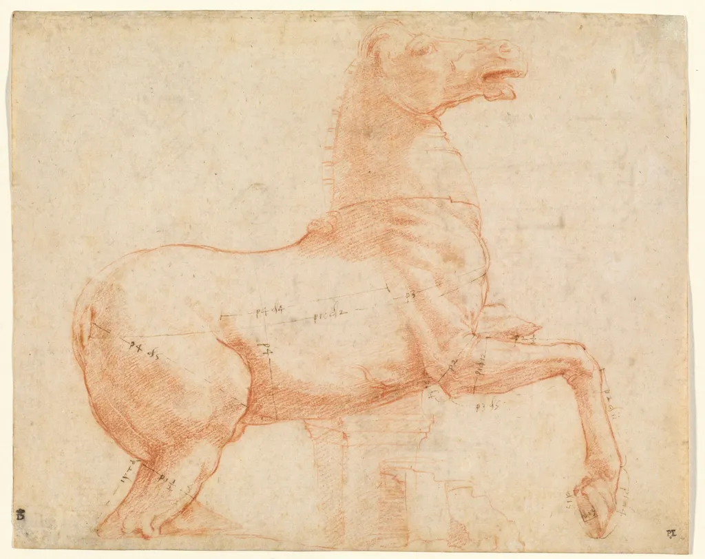 A Marble Horse on the Quirinal Hill [recto], by Raphael, ink, 1513