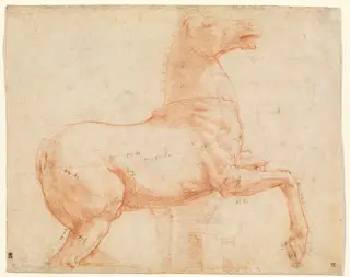 A Marble Horse on the Quirinal Hill [recto], by Raphael, ink, 1513