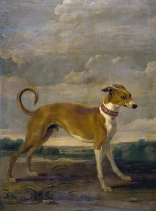 A dog, by Paul de Vos, oil, 1636