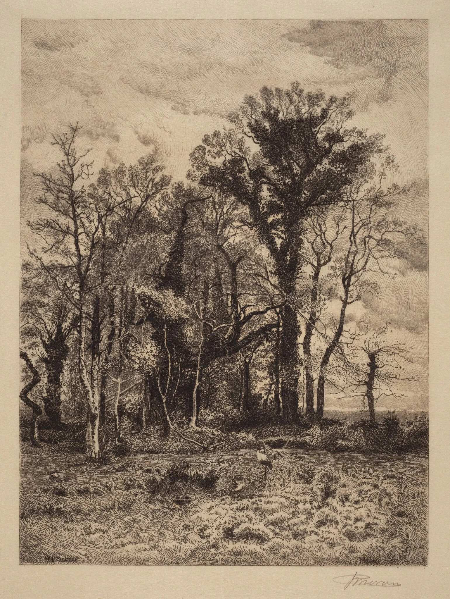 The Edge of the Swamp, detail