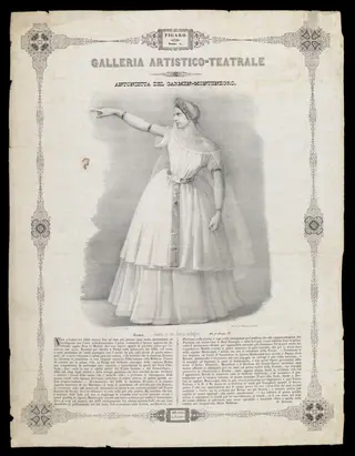 H Beard Print Collection, by Brison & Corbetta, 1850