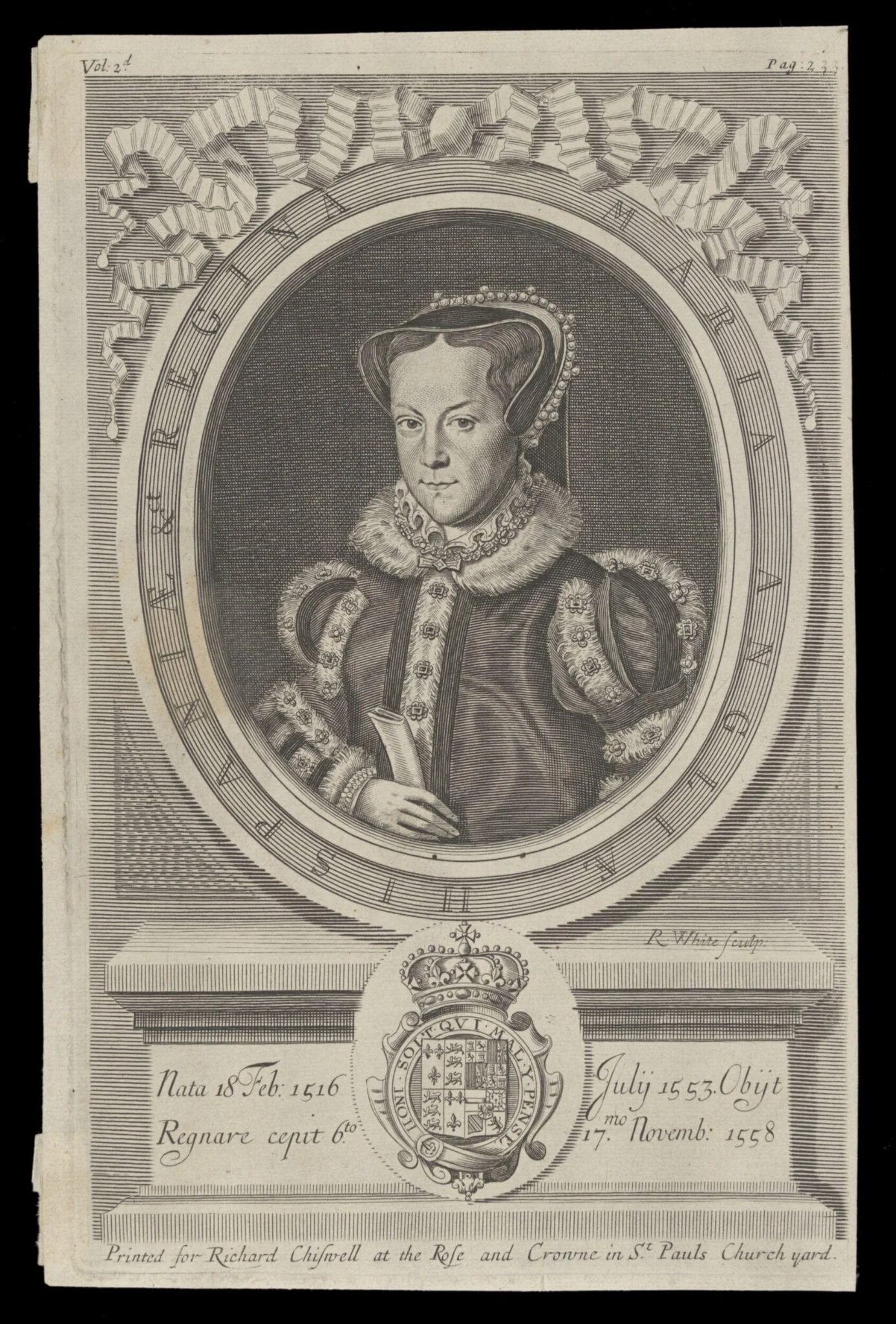H Beard Print Collection, detail
