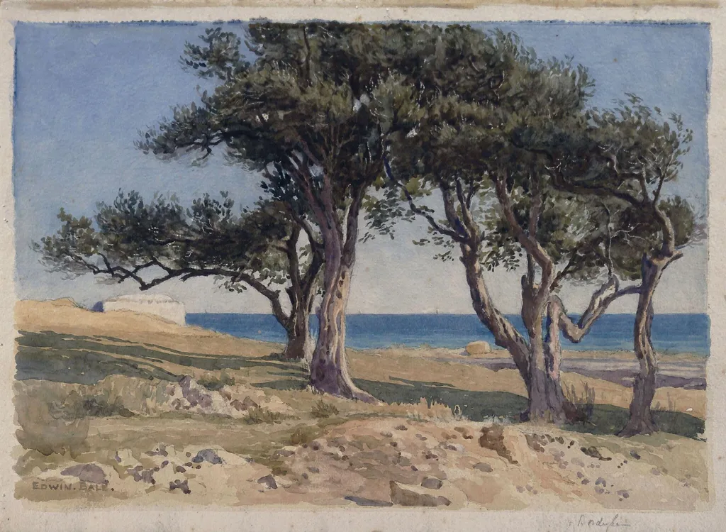 Old Olive Trees, Bordighera, by Edwin Bale, watercolor, 1860