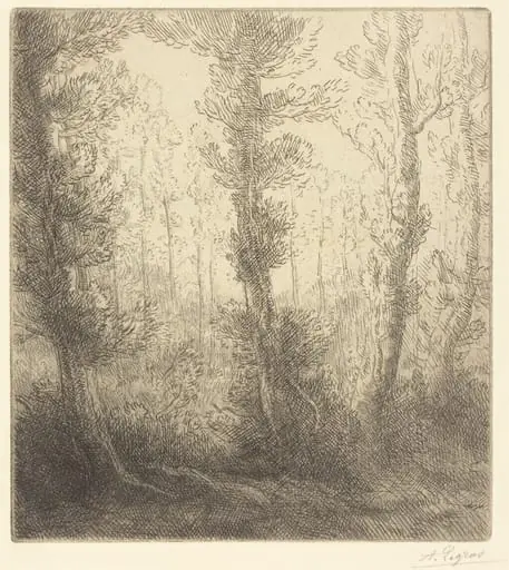 Small Lake (Le petit lac), by Alphonse Legros, ink, 1874