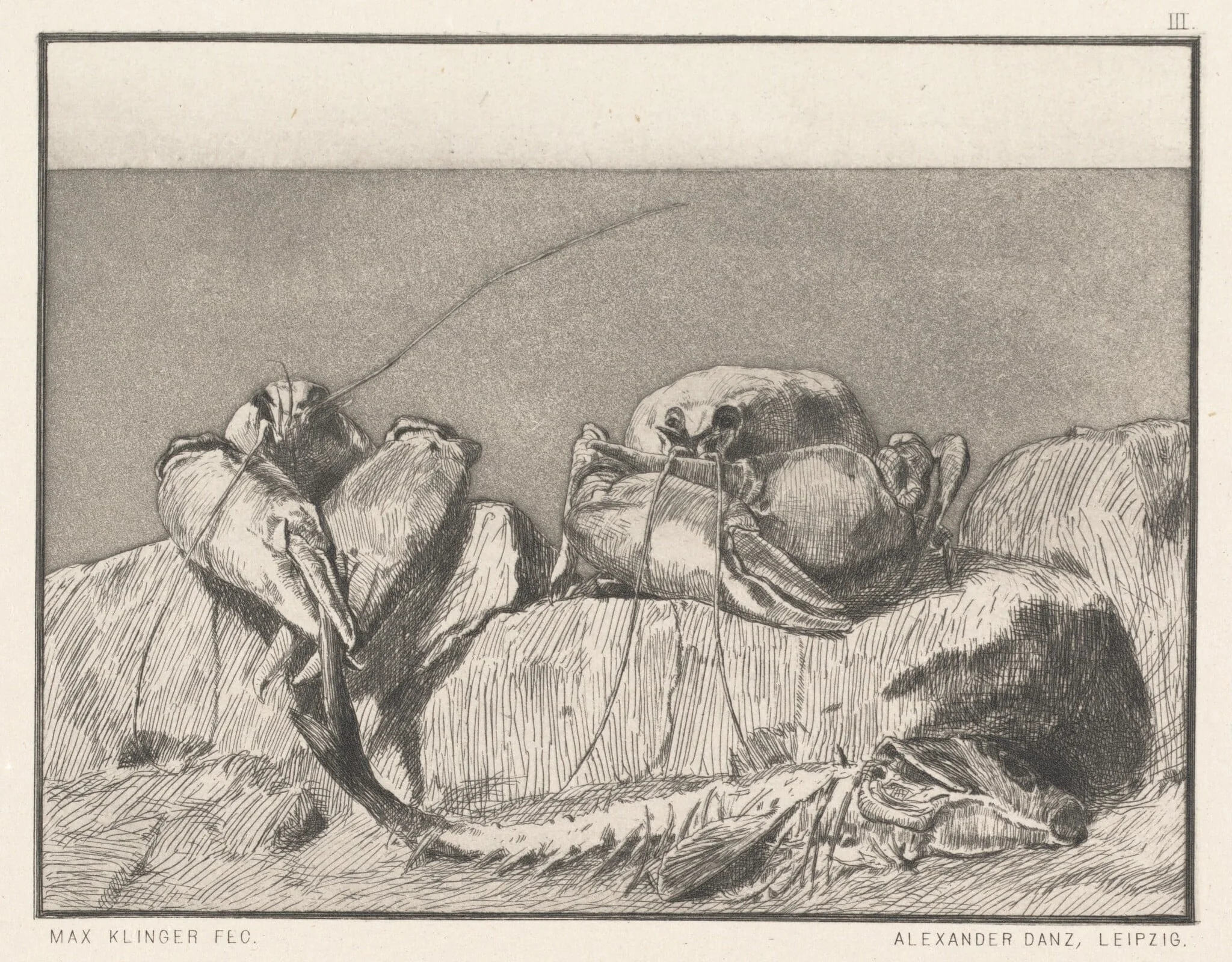 Siesta I: pl.3, detail