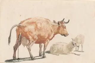 Pissing Cow and Two Sheep, by Johann Teyler, ink, 1691