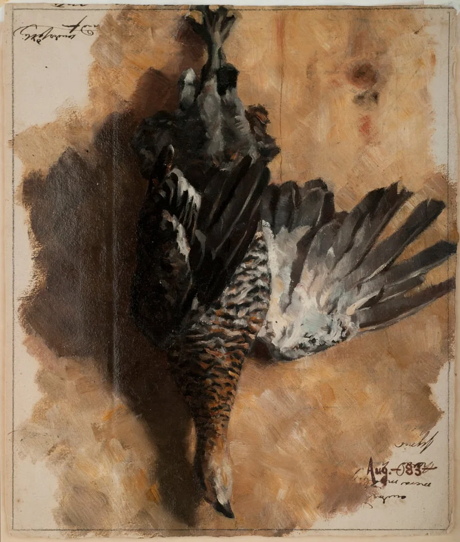 Död tjäder, detail