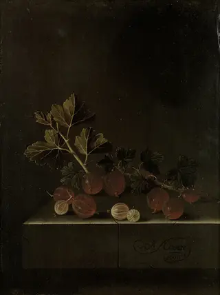 Een takje kruisbessen op een stenen plint, by Adriaen Coorte, unspecified, 1700