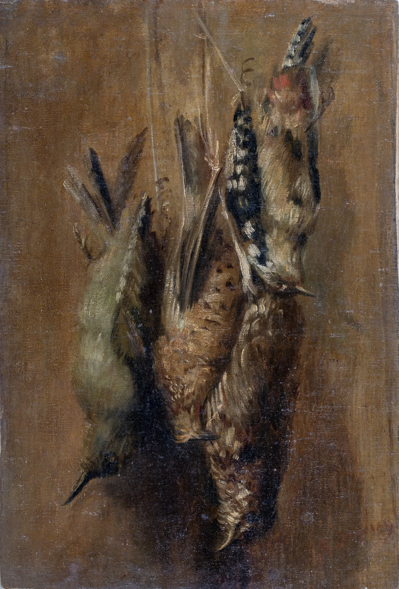 Vânat - becațe, detail
