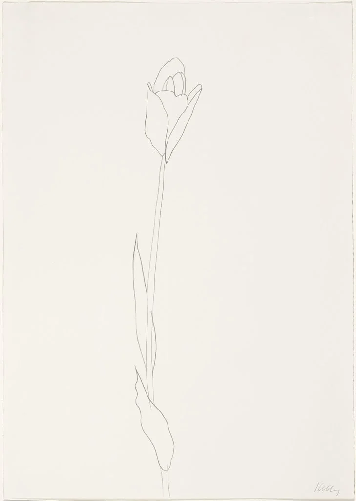 Untitled, detail