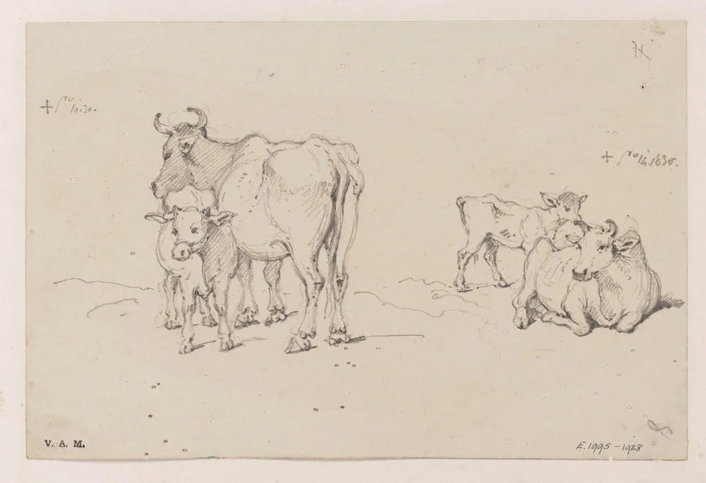 Two drawings of a cow and calf, by George Chinnery, 7