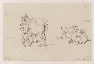 Two drawings of a cow and calf, by George Chinnery, 7