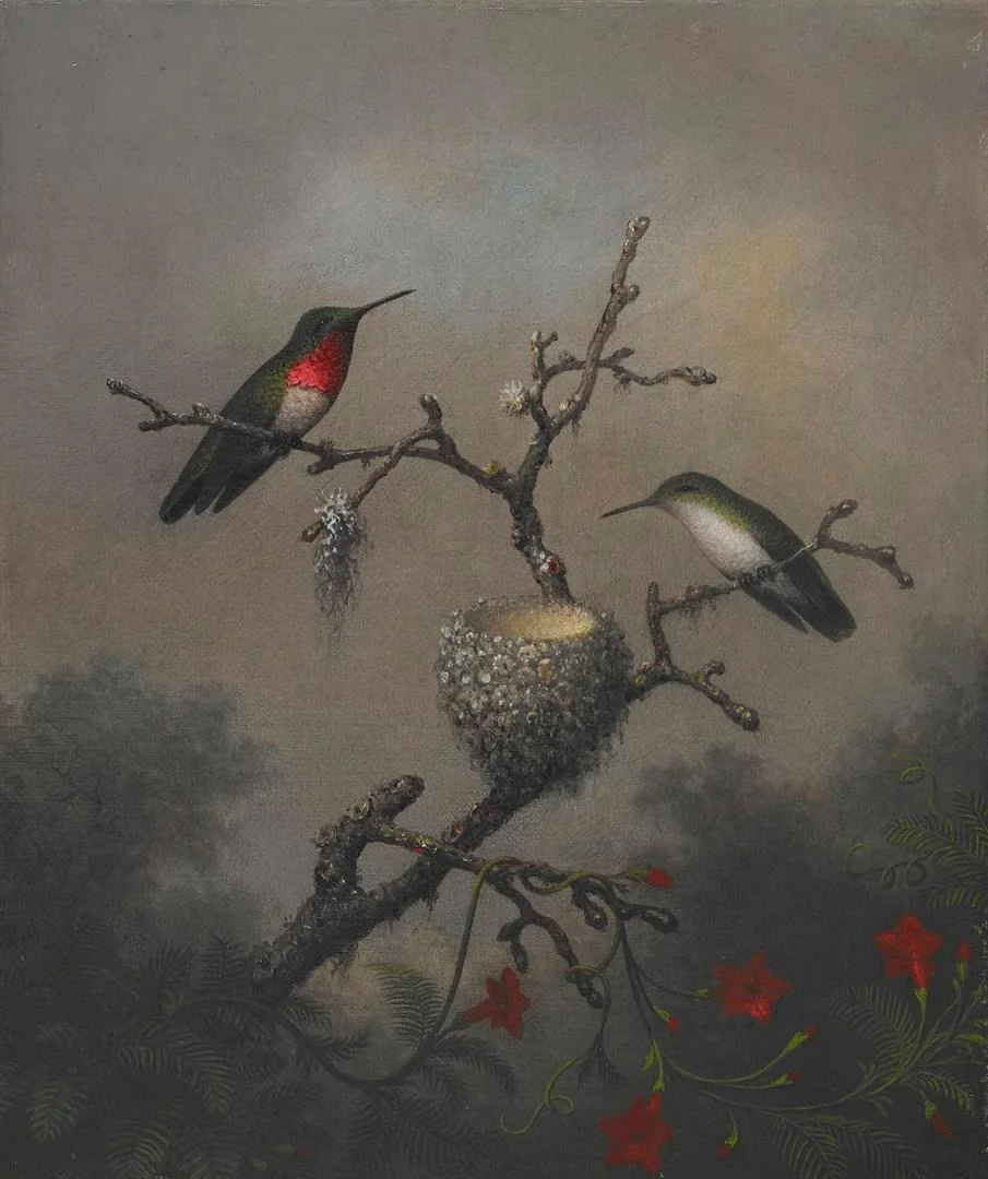 Ruby-throated Hummingbird, detail
