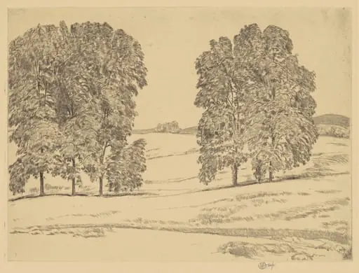 Hickories in a Hayfield, by Childe Hassam, ink, 1917