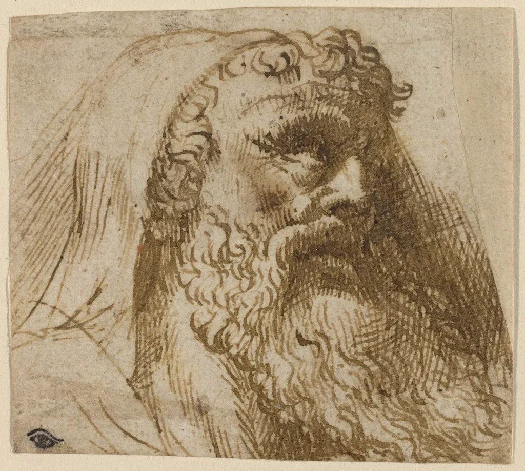Head of a Man, by Domenico Campagnola, ink, 1532