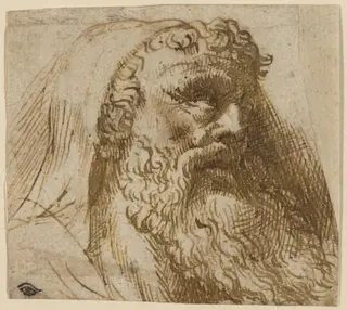 Head of a Man, by Domenico Campagnola, ink, 1532