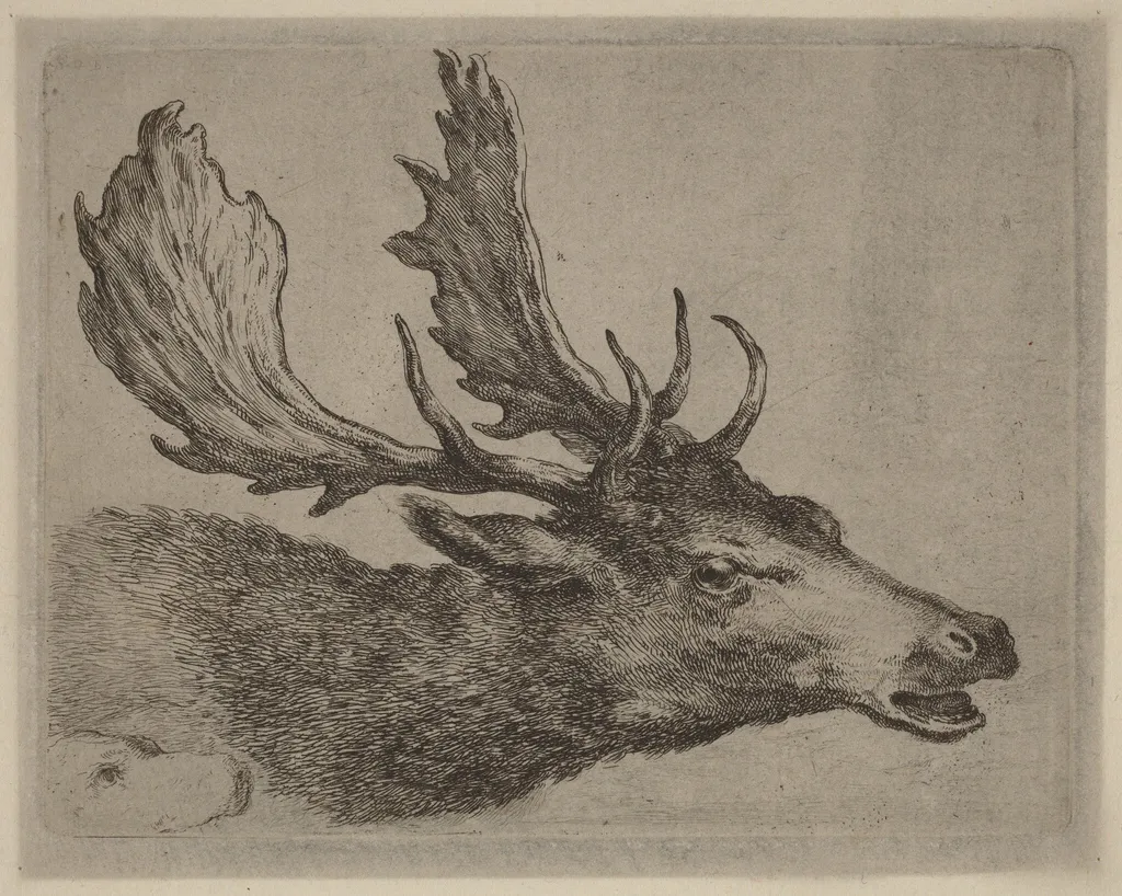Head of a Stag Turned Right, by Stefano Della Bella, ink, 1637