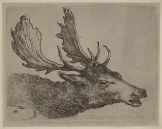 Head of a Stag Turned Right, by Stefano Della Bella, ink, 1637