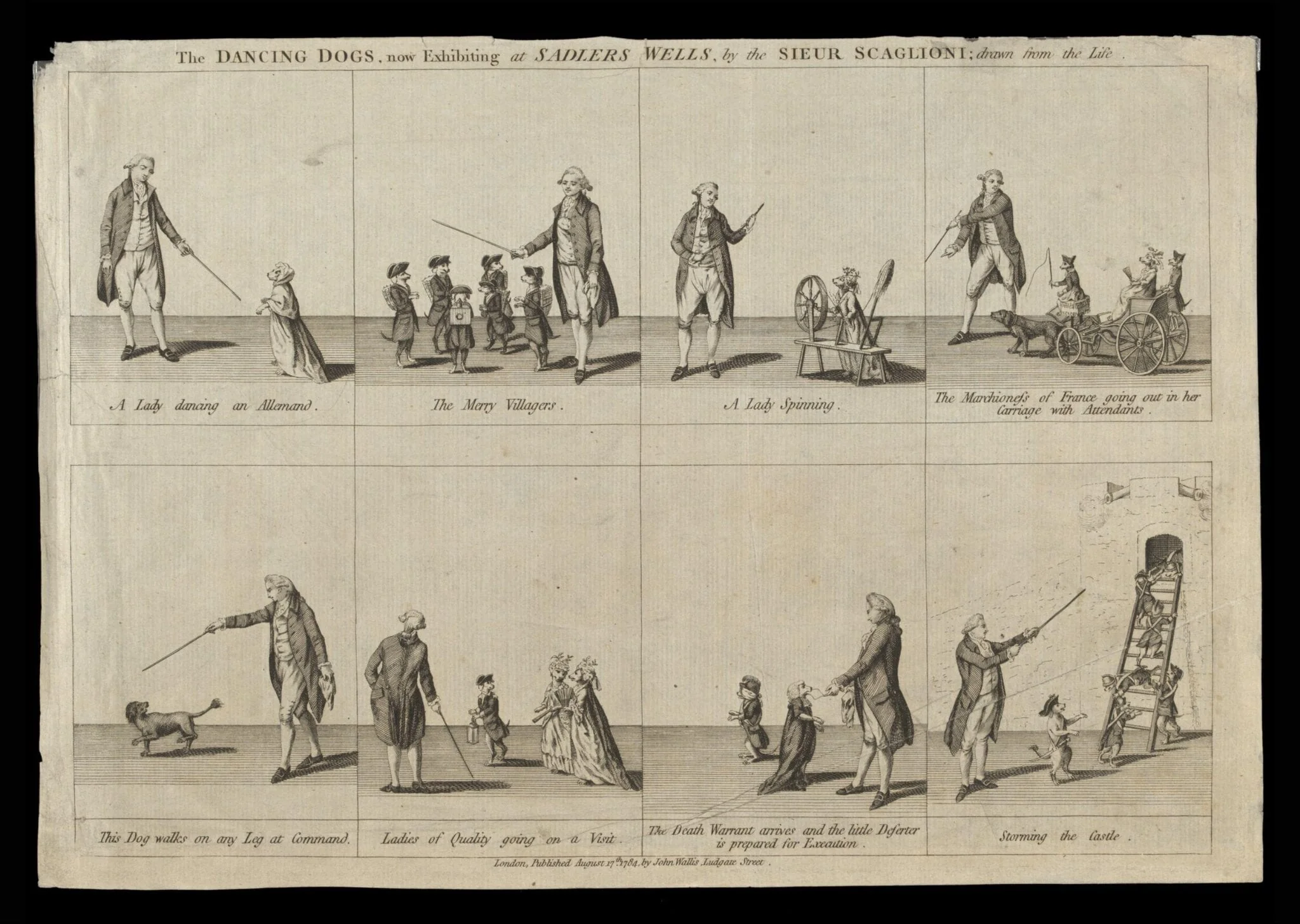 Print Collection, detail