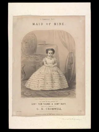 H Beard Print Collection, by H.C. Maguire, 1850