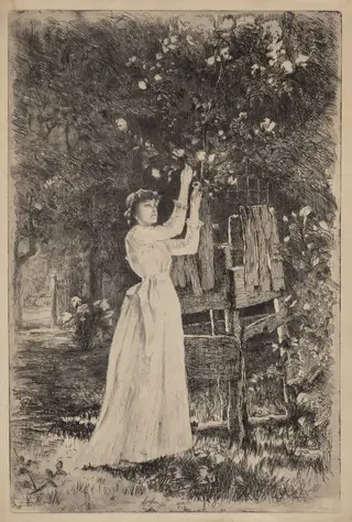 Untitled (Woman Picking Blossoms), by Charles Yardley Turner, ink, 1890