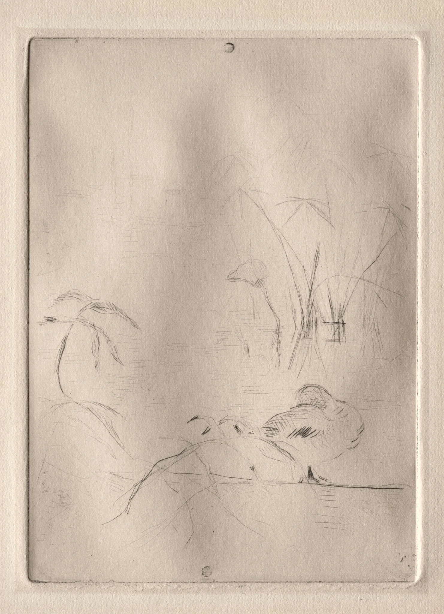 The Duck, detail