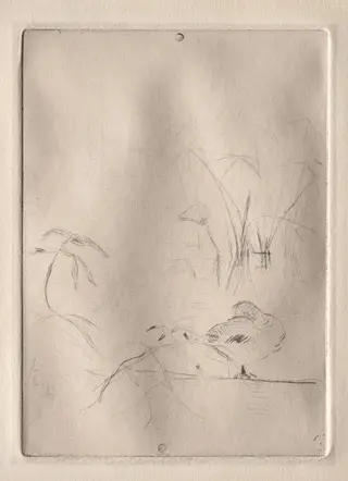 The Duck, by Berthe Morisot, 1889