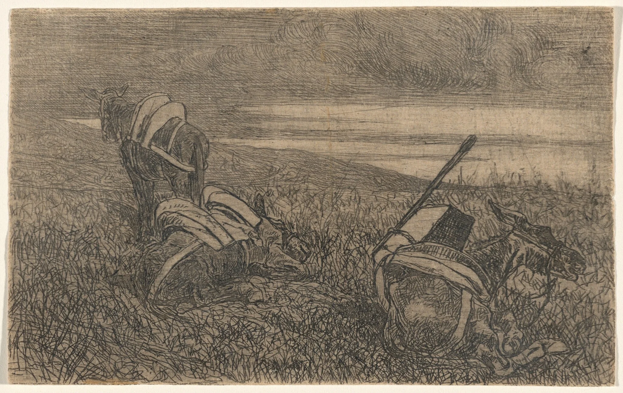 Little Donkeys at Rest (Sosta di somarelli), detail