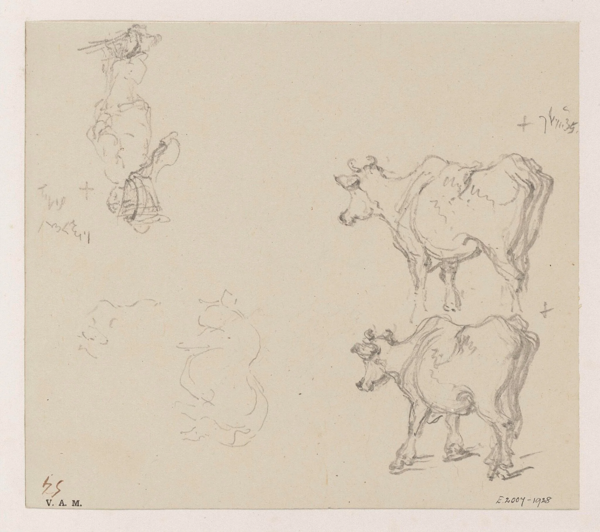 Two drawings of a cow and a drawing of a porter, detail