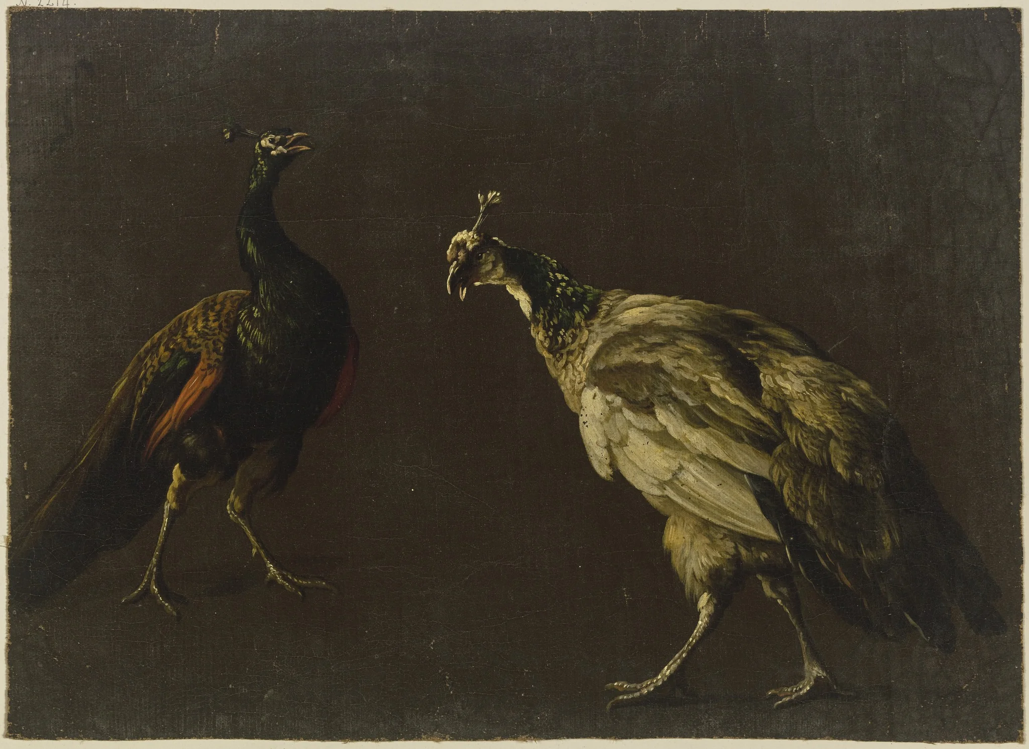 Peacock and peahen, detail
