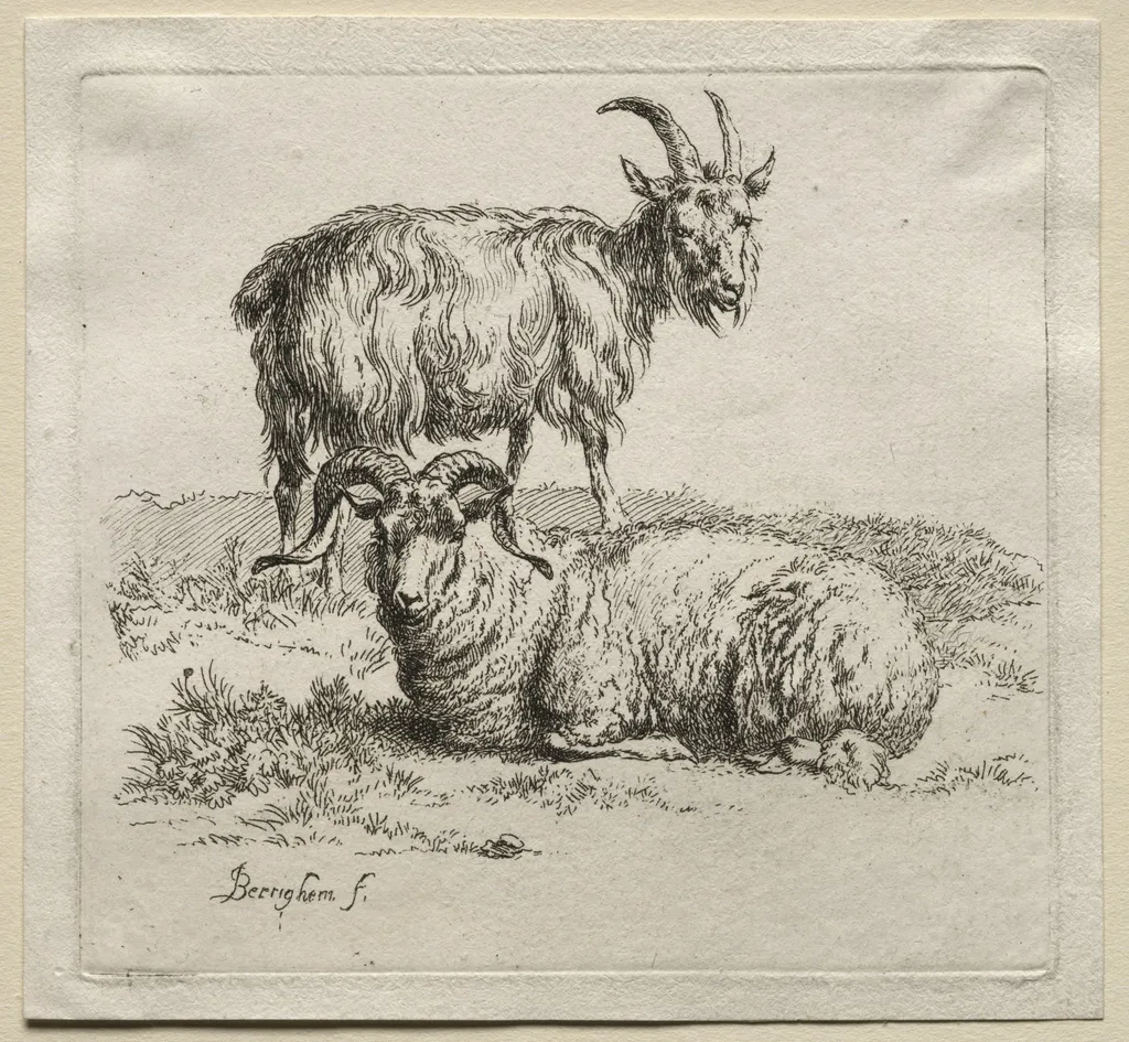 Animalia: Ram and Goat, by Nicolaes Pieterszoon Berchem, 1659