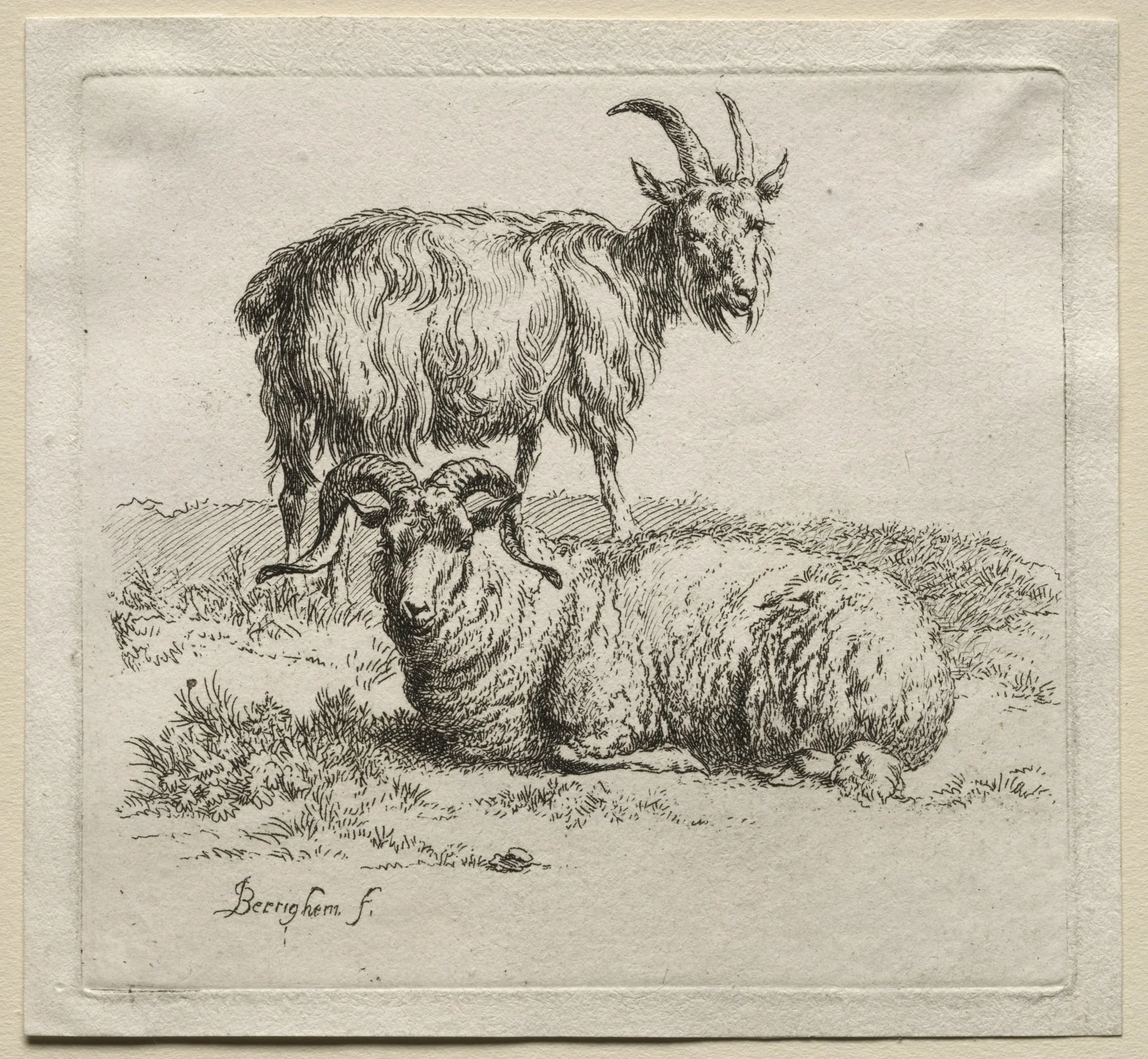 Animalia: Ram and Goat, detail