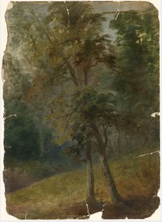 Entwined Trees, detail