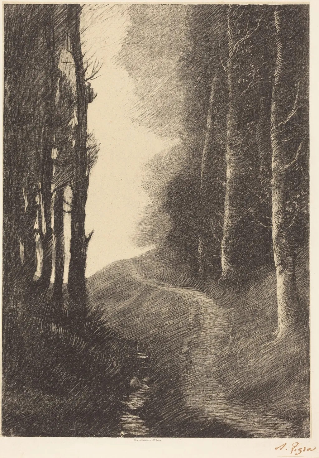 Landscape with Birch Trees (Le paysage aux bouleaux), by Alphonse Legros, ink, 1878