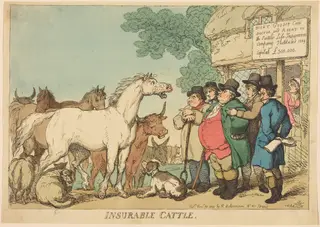 Insurable Cattle, by Thomas Rowlandson, ink, 1809