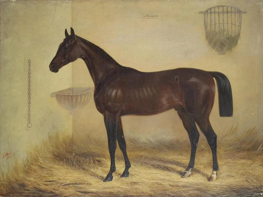 Magnifique Bay Horse, by Alexander Schwabe, oil, 1853