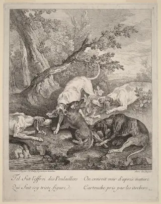 A Fox Attacked by Dogs, by Jean-Baptiste Oudry, ink, 1725